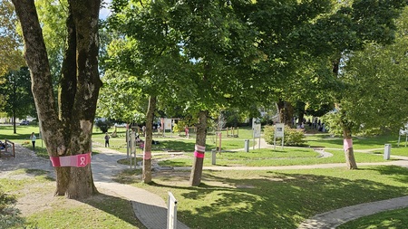 rožnati oktober (1)